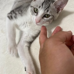 勉強仲間募集！（追記しました）
