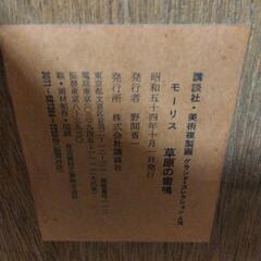 草原の雷鳴の画像
