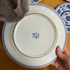 中華風　皿6枚の画像