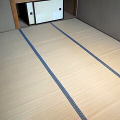 畳表 上敷き 6畳間 江戸間 い草 ゴザ ござ呉座 茣蓙 敷物 ...