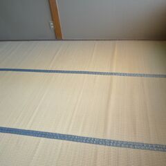 畳表 上敷き 6畳間 江戸間 い草 ゴザ ござ呉座 茣蓙 敷物 両面使える 日焼けありの画像