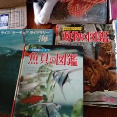 色々な図鑑の画像