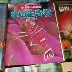 色々な図鑑の画像
