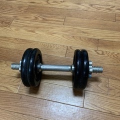ダンベル単体
