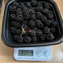 ラズベリー　約1キロの画像