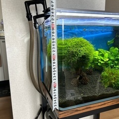 レグラスシリーズ水槽450の画像