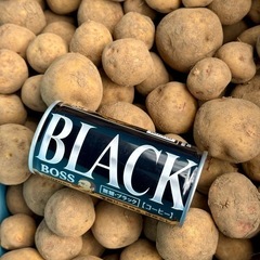 小粒のジャガイモの画像