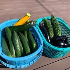野菜バラエティーセット🥦🍆✨一時販売停止中🙇‍♂️の画像