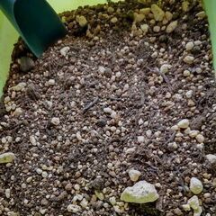 <<サマーセール>>多肉・観葉植物用のブレンド土／1リットルの画像