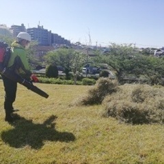 南大隅町根占　現金日払　除草後の片付けの画像