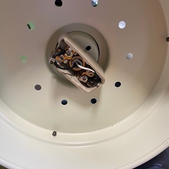 船室風シーリングライトの画像