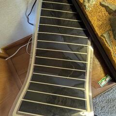 【決定しました】8/3.4来れる方優先！爬虫類飼育ゲージ&台の画像