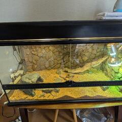 【決定しました】8/3.4来れる方優先！爬虫類飼育ゲージ&台の画像