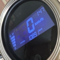 レブル250の画像