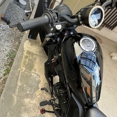 レブル250の画像