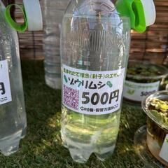 高濃度ゾウリムシ🦠 500ml 24時間営業中！ 無人販売糸満市...