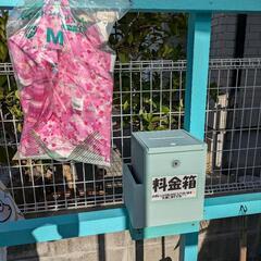 高濃度ゾウリムシ🦠 500ml 24時間営業中！ 無人販売糸満市役所近くでやってますの画像