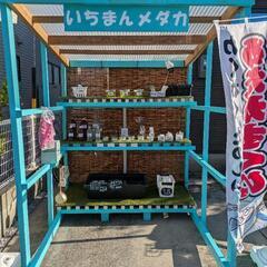 高濃度ゾウリムシ🦠 500ml 24時間営業中！ 無人販売糸満市役所近くでやってますの画像