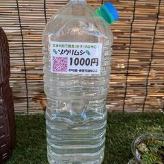 高濃度ゾウリムシ🦠 大容量2L 24時間営業中！ 無人販売糸満市...