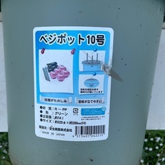 プラスチックプランター①