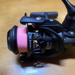 ピジファン　カーボン500の画像