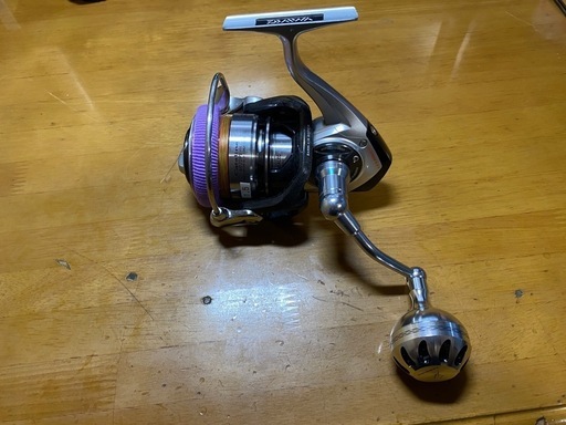 ダイワ　キャタリナ4020PE-H