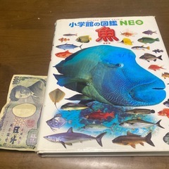 小学館の図鑑NEO 魚