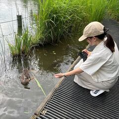 【メンバー募集】身近なまちの魅力発信活動に関わりたい仲間大募集 - ボランティア