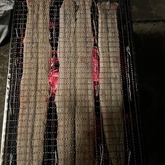 新スポット‼️ウナギ釣り‼️ - その他