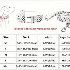 🐶首輪★新品★Mｻｲｽﾞの画像