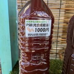 PSB（光合成細菌） 大容量2L エビオス不使用！　24時間営業...