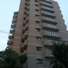 仲介手数料無料　川口市青木　2SLDK　ＲＣ造マンション　学区☆...