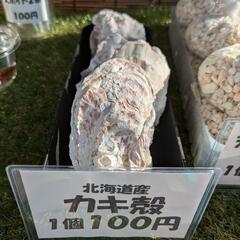 北海道産カキ殻 24時間営業中！ 無人販売糸満市役所近くでやってます