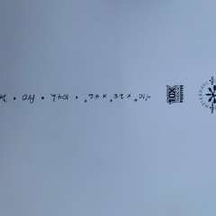 サップ　スターボード　104リッターの画像