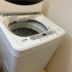 決まりました【急募‼️8月4日まで‼️】洗濯機の画像