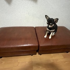 　傷あり　合皮ソファ（スツール）2個