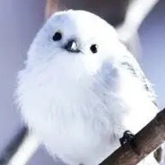【募集】イライラ怪獣を一緒にやっつけませんか？