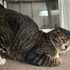 とても優しい男の子　こう君