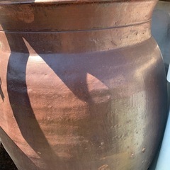 大きい壺とメダカ