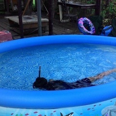 プール　305✖️76cmの画像