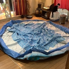 プール　305✖️76cmの画像