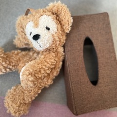 美品　ダッフィー　ぬいぐるみポーチの画像
