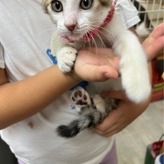 元気いっぱい