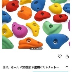 クライミングホールドの画像