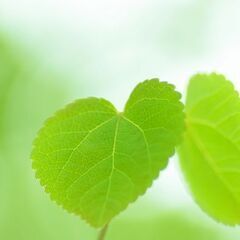 １月お誕生日の方へ特別なご案内♪　～ヒーリング 個人セッション～...