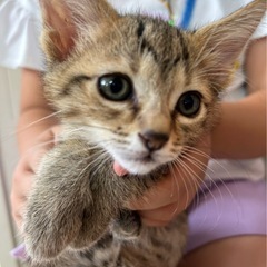 男の子