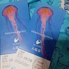 【お取引が決まりました】8/31まで！新江ノ島水族館入場券２枚