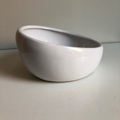 未使用に近いペット用陶器ご飯皿フードボールの画像