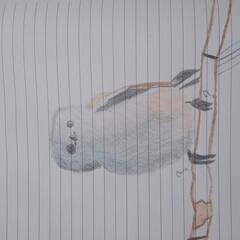 一緒に絵を描きましょう