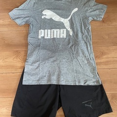 PUMA スポーツウェア　セットアップ　上下セットの画像